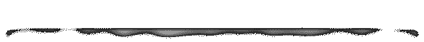 La tecnica